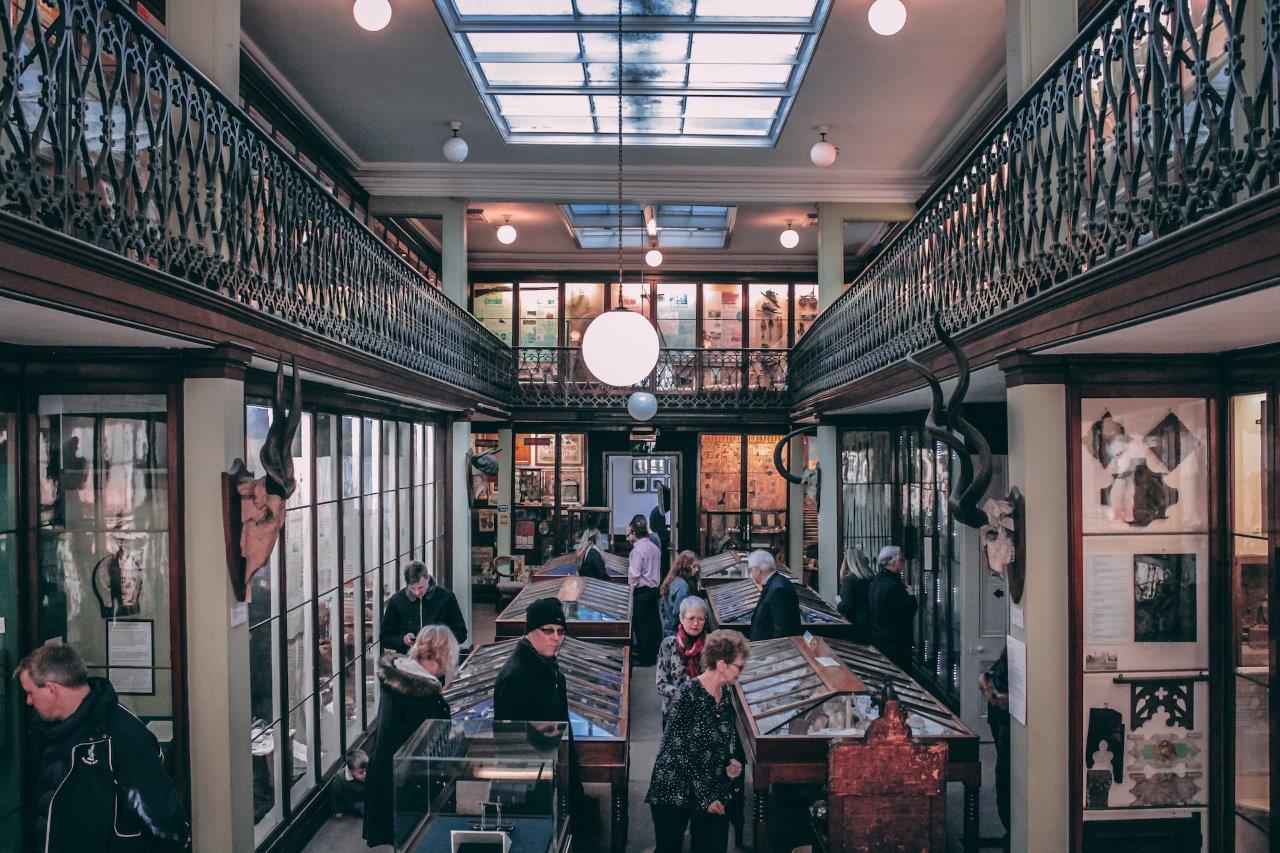 Wisbech & Fenland Museum